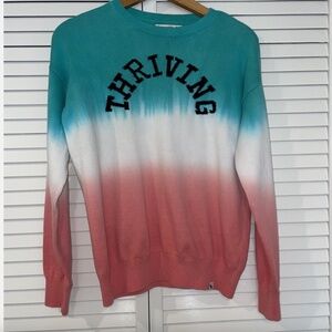 Abercrombie And Fitch Kids 15/16 Graphic Sweater Ombre Cotton